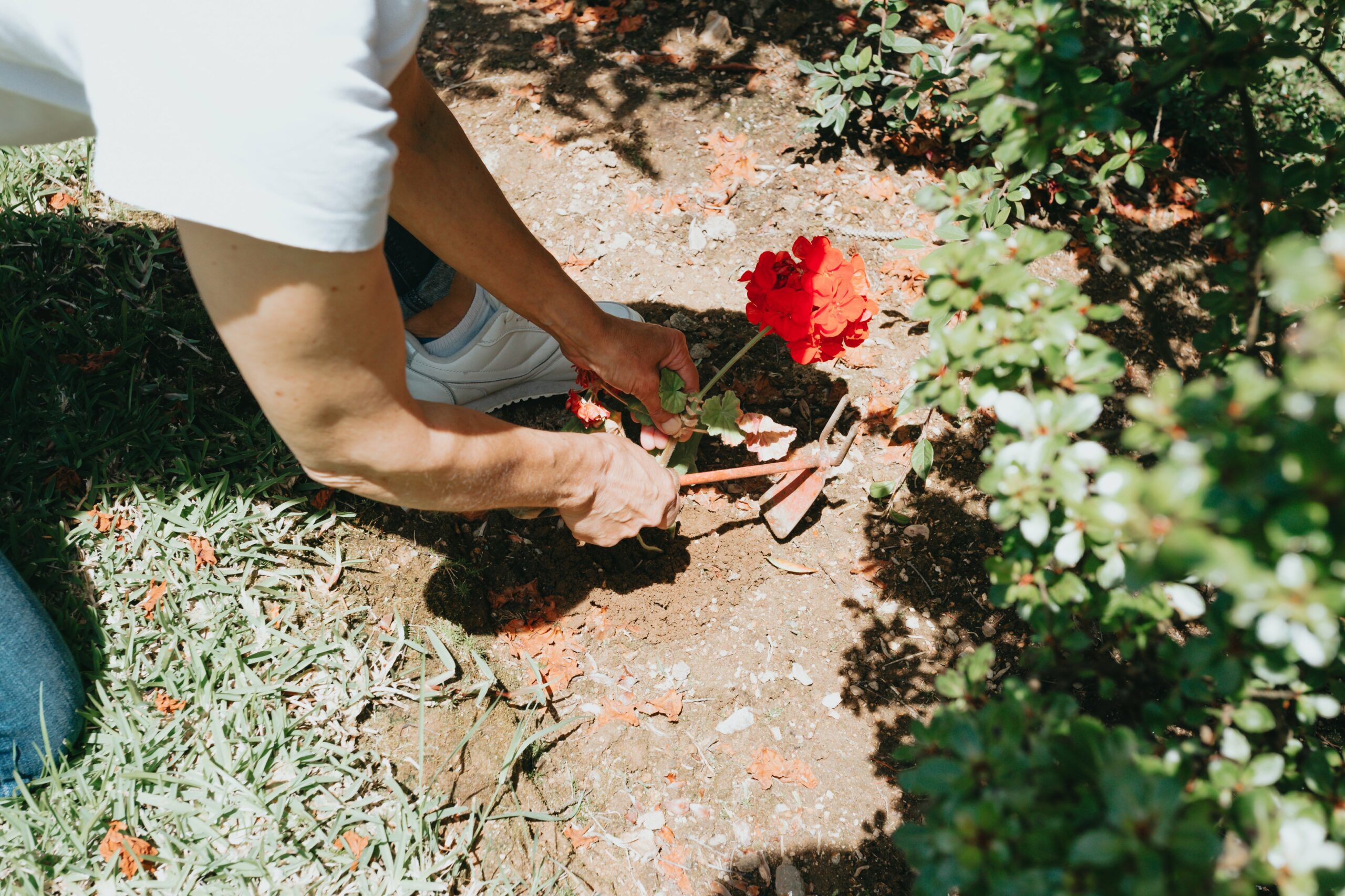 Open Space Survey - Community Garden Interest