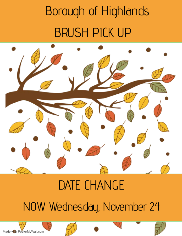 BRUSH PICK UP - Date Change