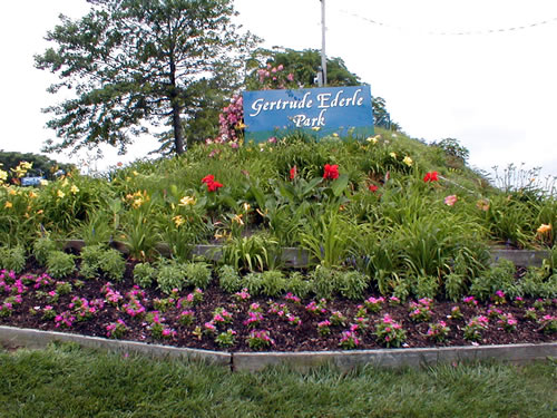 Ederle Park Improvements Ederle Park Improvements